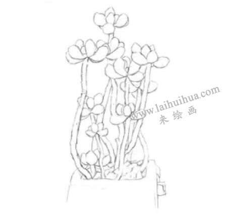 虹之玉素描畫(huà)法步驟01
