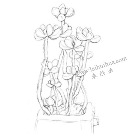 虹之玉素描畫(huà)法步驟02
