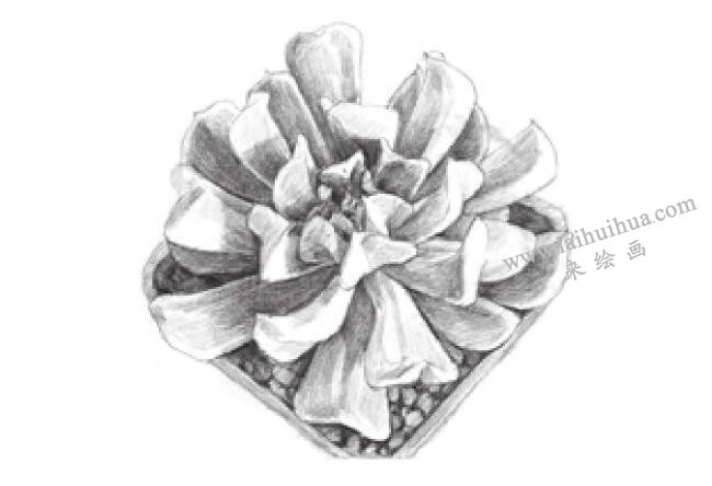 特玉蓮素描畫法步驟04