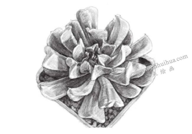 特玉蓮素描畫法步驟05