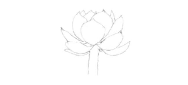 白鳳素描畫法步驟01