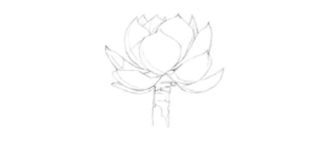 白鳳素描畫法步驟02