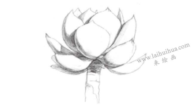 白鳳素描畫法步驟03