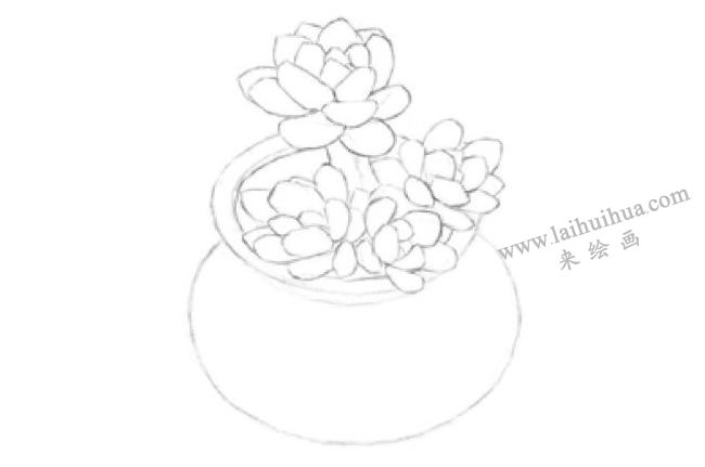 凝脂蓮素描畫法步驟01