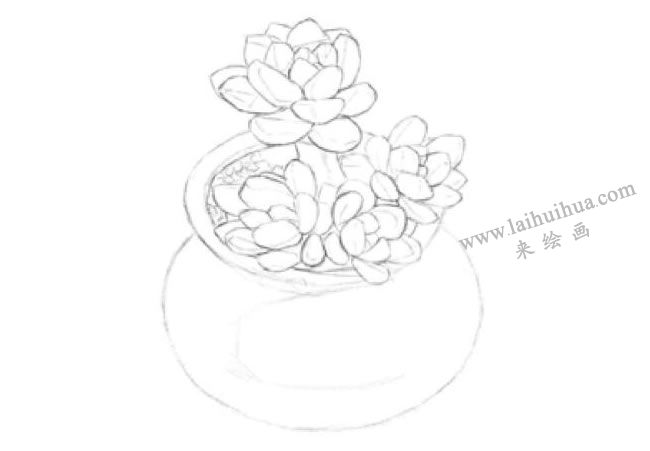 凝脂蓮素描畫法步驟02