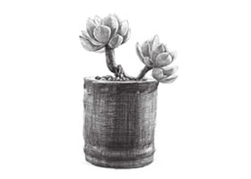 黃麗素描畫(huà)法步驟