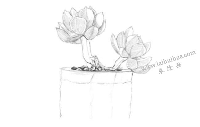 黃麗素描畫(huà)法步驟02