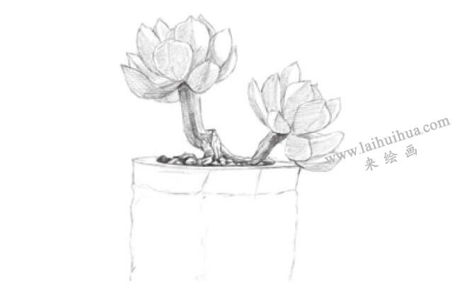 黃麗素描畫(huà)法步驟03