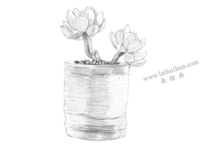 黃麗素描畫(huà)法步驟04