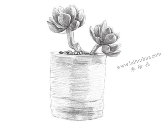 黃麗素描畫(huà)法步驟05