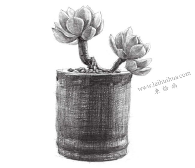 黃麗素描畫(huà)法步驟06