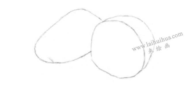 蓮藕的素描畫法步驟01