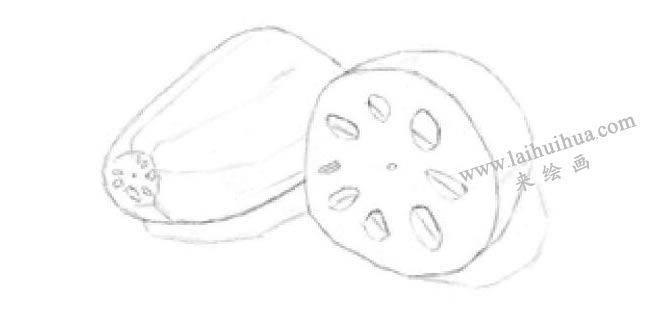 蓮藕的素描畫法步驟02