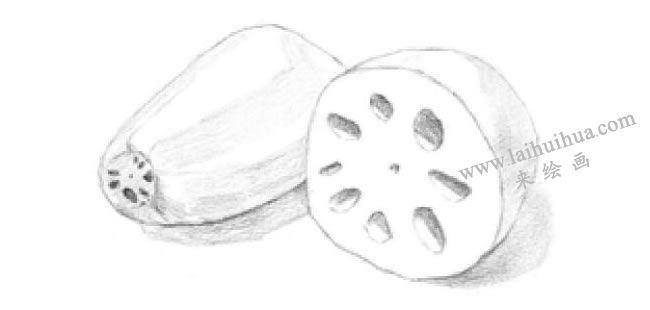 蓮藕的素描畫法步驟03