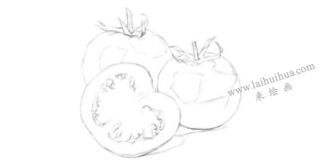番茄的素描畫法步驟02