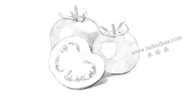 番茄的素描畫法步驟03