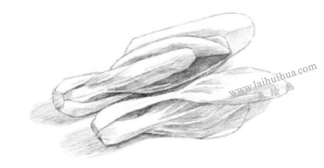 青菜素描畫法步驟03