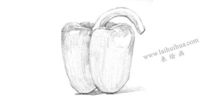 辣椒素描畫法步驟02