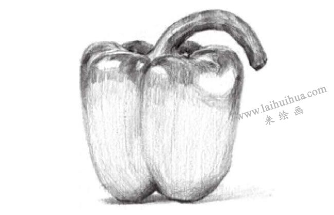 辣椒素描畫法步驟03