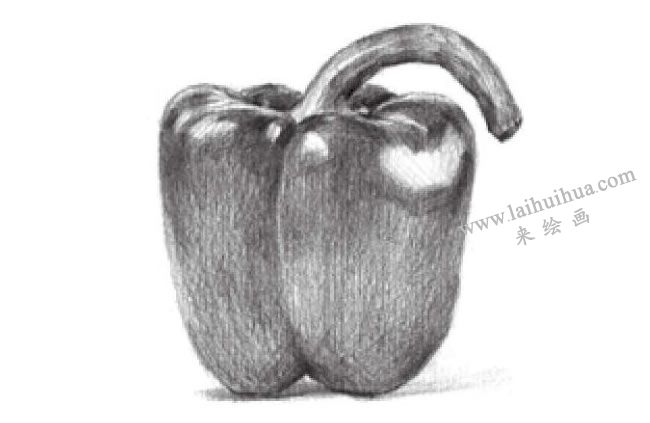 辣椒素描畫法步驟04