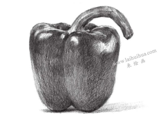 辣椒素描畫法步驟05