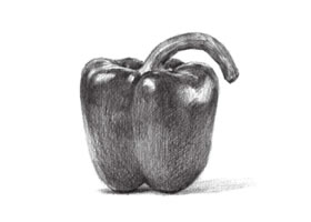 辣椒素描畫(huà)法
