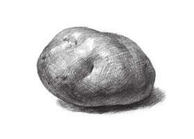 土豆素描畫(huà)法（二）