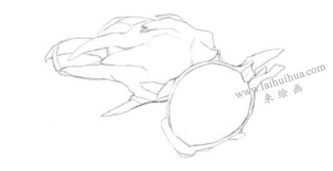 火龍果素描畫法步驟01