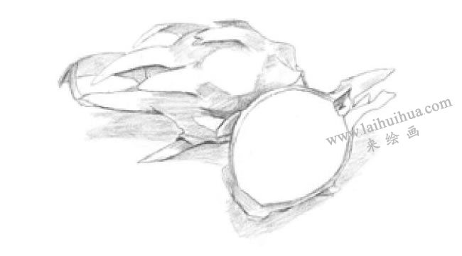火龍果素描畫法步驟02