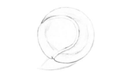 網(wǎng)球素描畫法步驟01