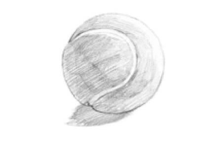 網(wǎng)球素描畫法步驟02