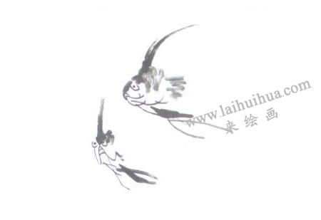 神仙魚的國畫畫法步驟03