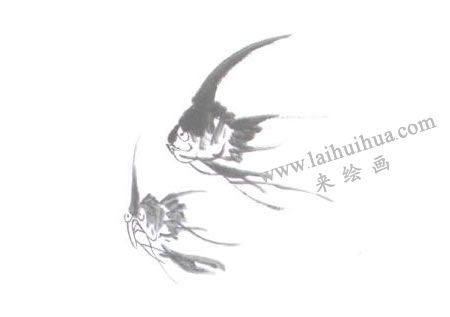 神仙魚的國畫畫法步驟04