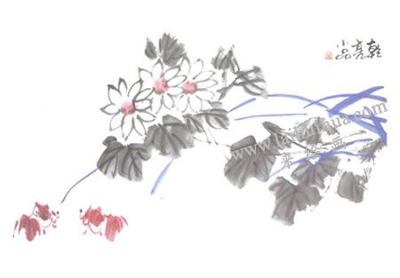 紅金魚國畫畫法步驟05