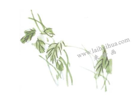 鱖魚國畫畫法步驟04