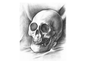 石膏頭骨素描畫(huà)法
