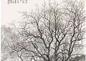 國畫柿子樹寫生方法