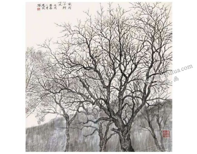 國畫柿子樹寫生方法范例步驟04