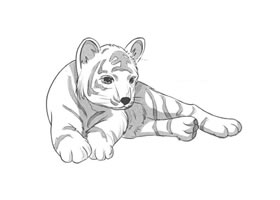 趴著的老虎卡通素描畫法