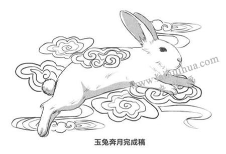 玉兔奔月卡通素描畫法繪制步驟04