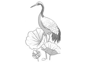 荷中鶴卡通素描畫法