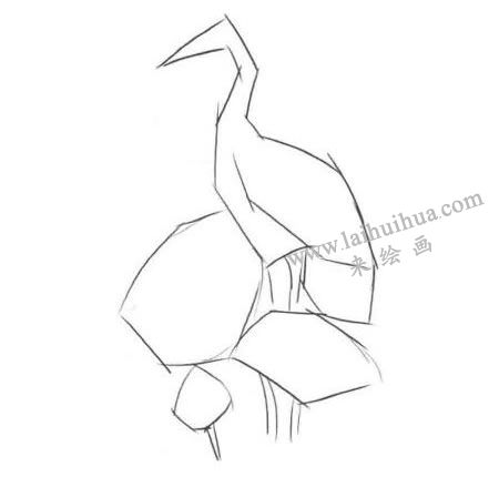 荷中鶴卡通素描畫法步驟01