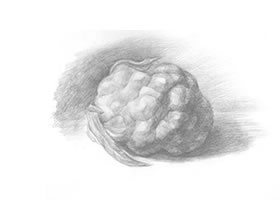 菜花素描畫(huà)法步驟