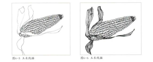 玉米線描畫法步驟03