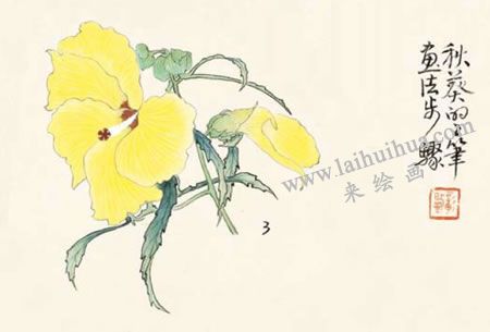 秋葵的工筆畫法步驟03