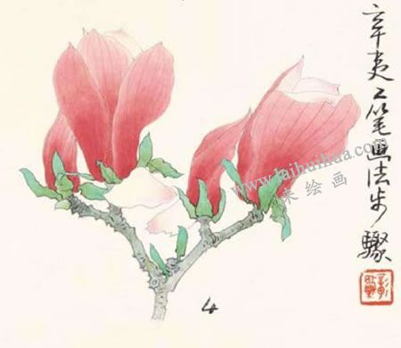 辛夷的工筆畫(huà)法步驟04