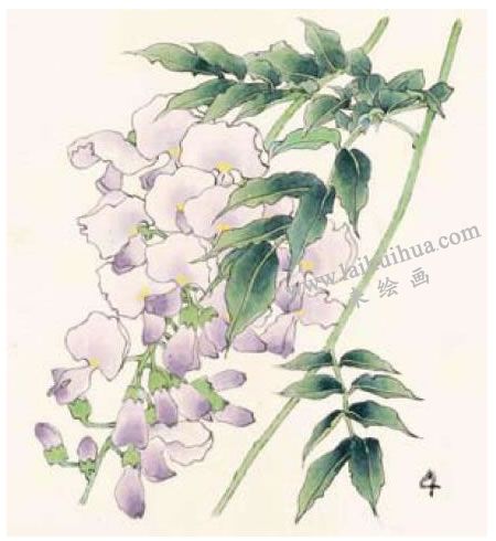 紫藤的工筆畫(huà)法步驟04
