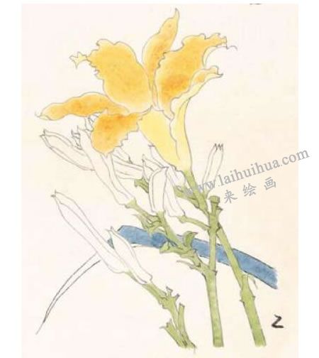 萱花的工筆畫法步驟圖示02