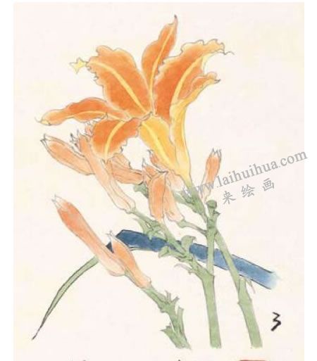 萱花的工筆畫法步驟圖示03