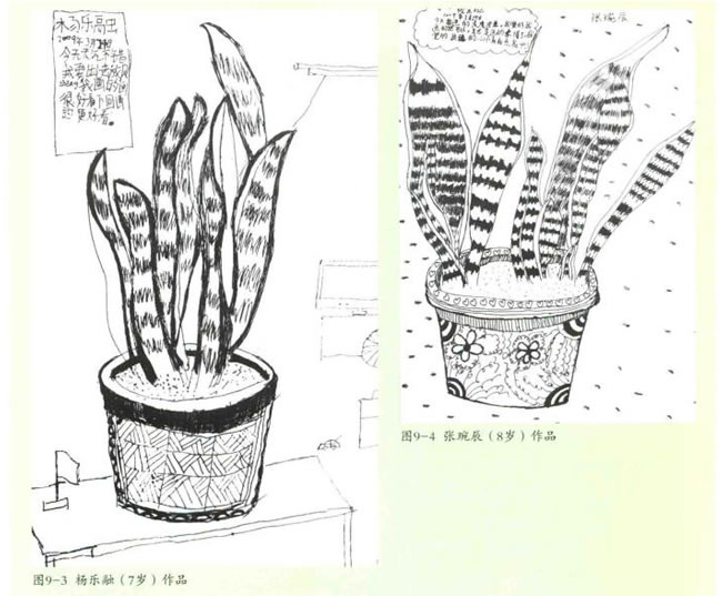 虎皮蘭線描畫法步驟教學(xué)過程